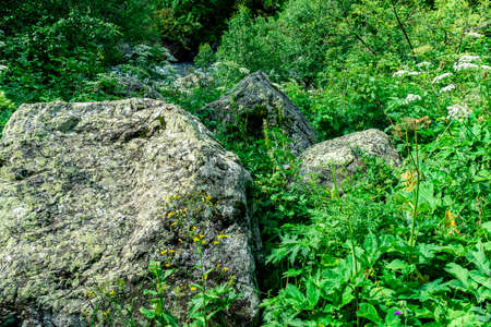 Isolated stones in the grass at the top of the mountain. Top view.の写真素材