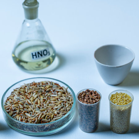 Chemical tubes, petri dishes, glass vials. Millet, rice, buckwheat, pearl barley in the laboratory...