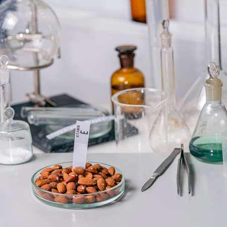 Nuts on the laboratory table with a name plate for vitamin E. Essential vitamins. food laboratory.の写真素材