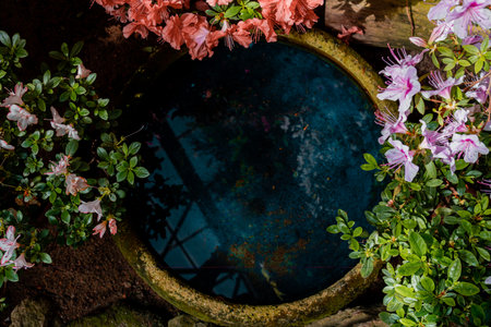 Top view of the calm surface of the water of an artificial pond surrounded by flowers. Landscape design. Place for textの写真素材