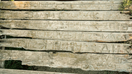 Textured old wood surface background