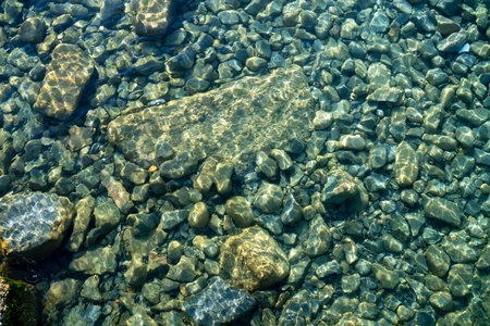 rocky seabed of the Black Sea, top view.の写真素材