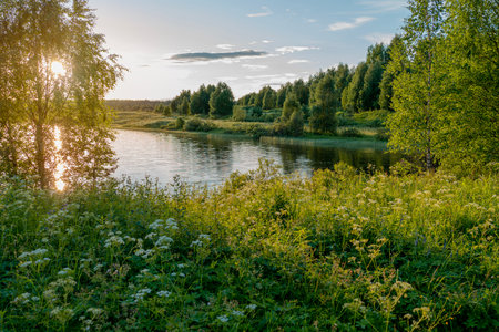 Beautiful sunset with sun rays in lush summer taiga and beautiful lake in national parkの写真素材