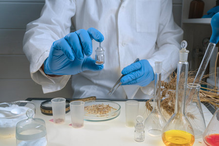 Scientist check chemical whole grains residues in laboratory. Control experts inspect the concentration of chemical residues. hazards, standard, prohibited substances, contaminate, Microbiologistの写真素材