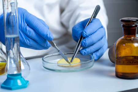 Workplace lab assistant top view. Food safety laboratory procedure, analysing food from the market. In the potato chips are signs with the code E-supplements.の写真素材