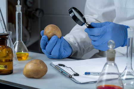 Workplace lab assistant top view. Food safety laboratory procedure, analyzing food from the market. In the potato chips are signs with the code.の写真素材