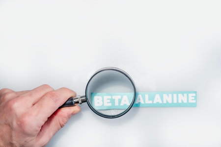 Hand holding magnifying glass magnifying beta alanine inscription isolated on white background. Sports nutrition and research concept.の写真素材