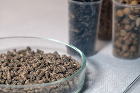 Laboratory studies of animal feed. Studies on the analysis of agricultural grains and seeds in laboratory conditions.の写真素材