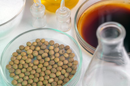 Analysis of cereal and legume seeds in the laboratory. Tests for GMO content, nitrates and seed germination.の写真素材