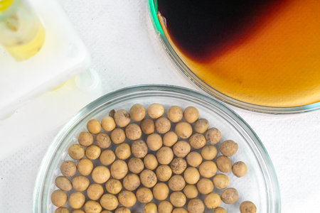 Soybean seed analysis in laboratory conditions. Tests for GMO content, nitrates and seed...