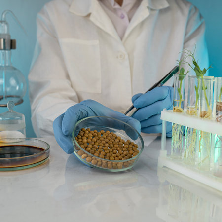 Analysis of cereal and legume seeds in the laboratory. Tests for GMO content, nitrates and seed...