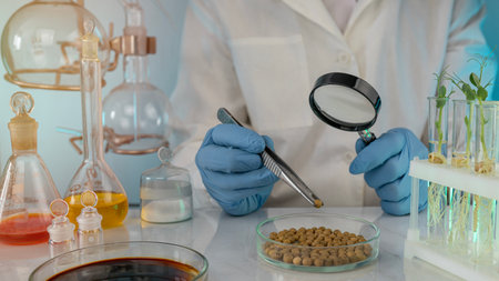 Scientist's hand with a magnifying glass does soy analysis. Laboratory research. View from above.の写真素材