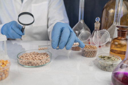 Analysis of cereal and legume seeds in the laboratory. Tests for GMO content, nitrates and seed germination.の写真素材