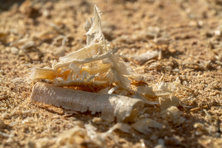 Wooden background with sawdust top view with place for text or inscription. Wood dust texture. Sawdust pattern closeup background pattern.の写真素材