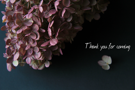 Purple Hydrangea On Black Background with Thank You for Coming Sign Weddingの写真素材