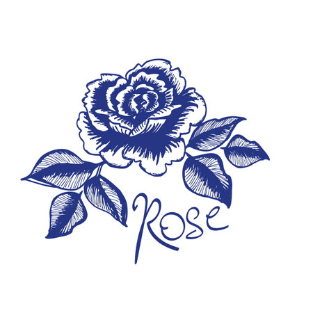 Blue watercolor leves clip artの写真素材