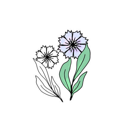 Floral hand drawn clip artのイラスト素材