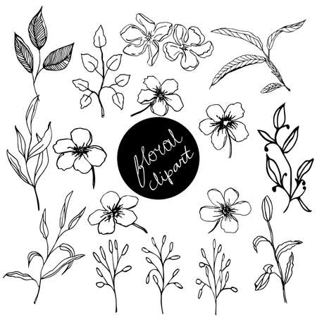 Botanical doodle, black ink hand drawnのイラスト素材