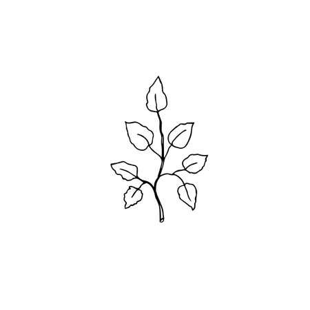 Floral doodle black ink hand drawn isolate elements for icon or logoのイラスト素材