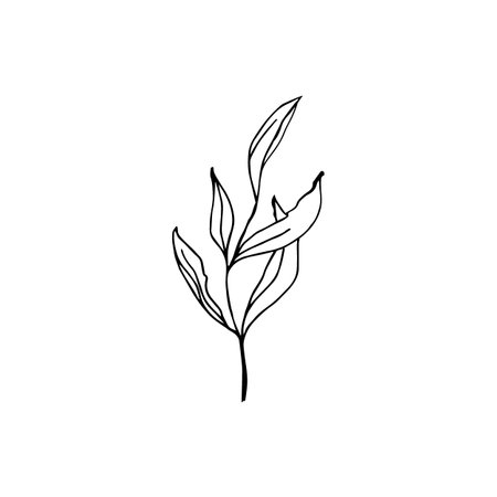 Floral doodle black ink hand drawn isolate elements for icon or logoのイラスト素材