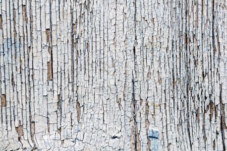 White painted old grunge wooden texture. Background collection.の写真素材