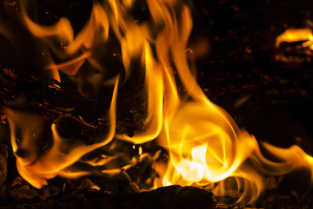 Fire flames on a black background. Blaze fire flame texture background. Close up of fire flames...