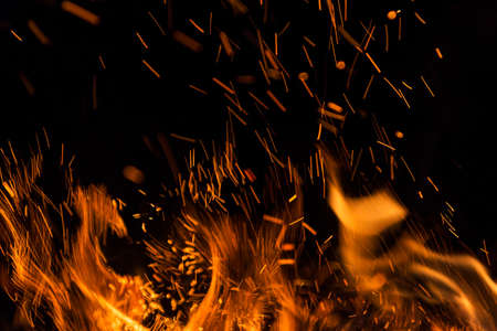 Fire flames on a black background. Blaze fire flame texture background. Close up of fire flames...
