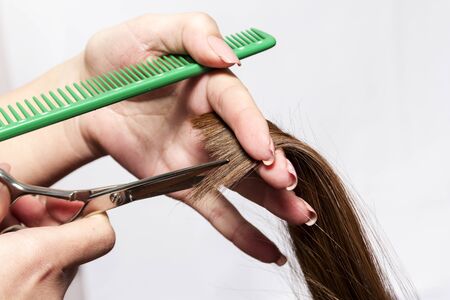 hands of the hairdresser cutting woman's hairの写真素材