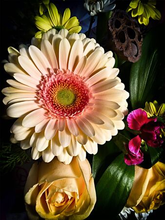 Beautiful background of flowers created for wedding and festive backgroundの写真素材