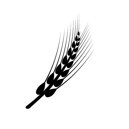 Ears of wheat in front of white background. Vectorのイラスト素材