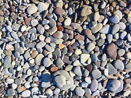 Colorful gravel Background on the sea beachの写真素材