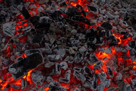 red coals from a campfire close-up