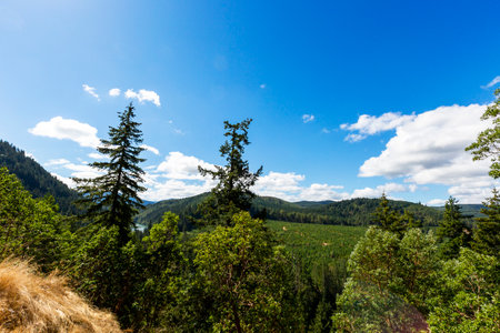 amazing landscapes opens from the top of the rainier