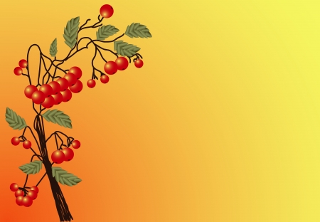 Illustration of ripe red Rowan twigs with leaves on a yellow-orange backgroundのイラスト素材