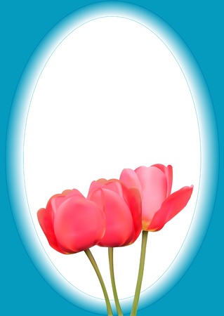 Illustration of three tulips on a blue background with an ovalのイラスト素材