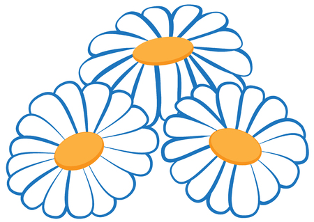 Illustration of three camomiles on a white backgroundのイラスト素材