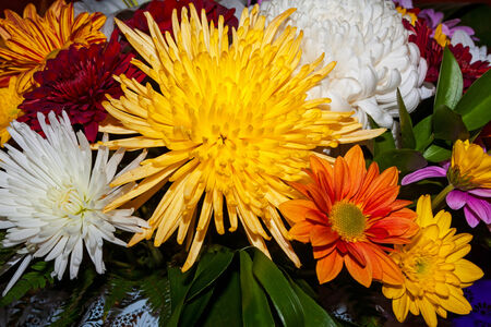 Bouquet of different bright beautiful autumn flowersの写真素材