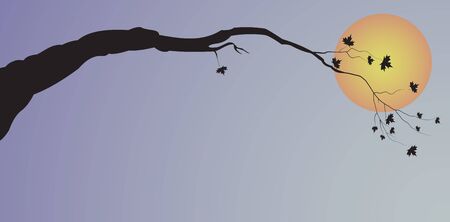 Illustration of Silhouette of a tree against the sun and the gray skyのイラスト素材