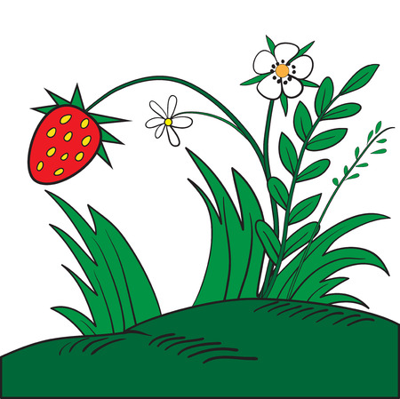 Illustration of a red ripe strawberries and flowers on a clearingのイラスト素材