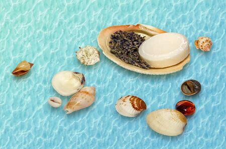 Seashells with lavender and soap on a colored backgroundの写真素材