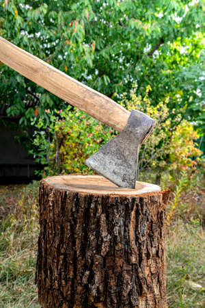 Old ax in a wooden stump on a blurred background