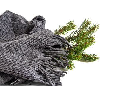 Scarf and branch of Christmas tree isolated on white background