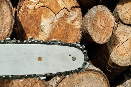 Saw blade and chain on the background of firewood