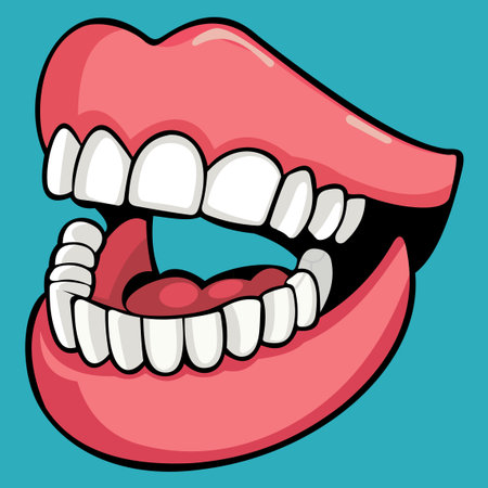 Illustration of a human jaw with teeth