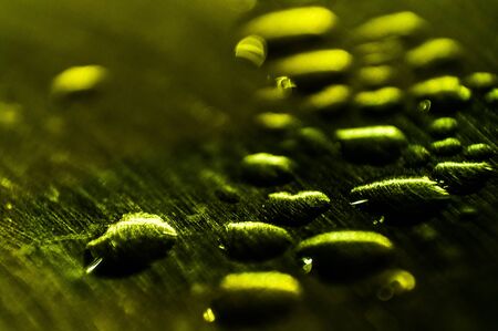 Water Dropsの写真素材