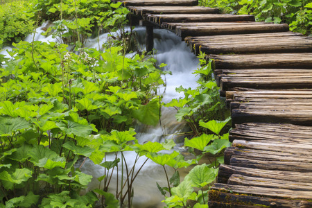 Wooden path near the lake at Plitvice on Lake in Croatiaの写真素材