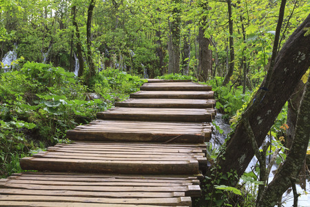 Wood path in the Plitvice Lake in Croatiaの写真素材