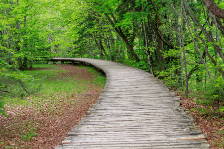 Wood path in the Plitvice Lake in Croatia の写真素材