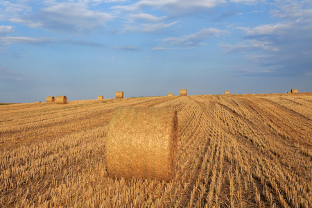 Hay bale at sunset in Hungary.