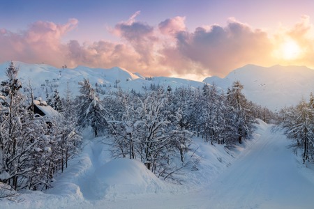 Cosy winter scene with snow covered trees in the mountains in Slovenia